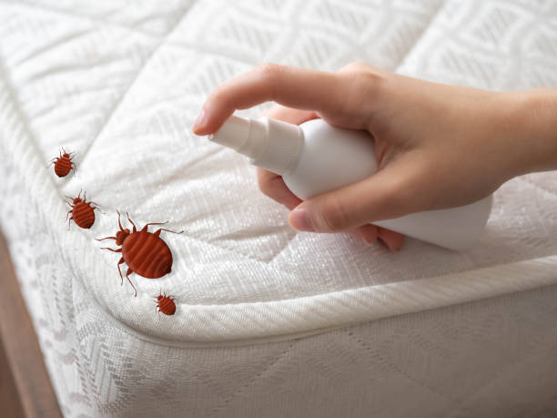 Best Pest Control for Hotels  in New Roads, LA